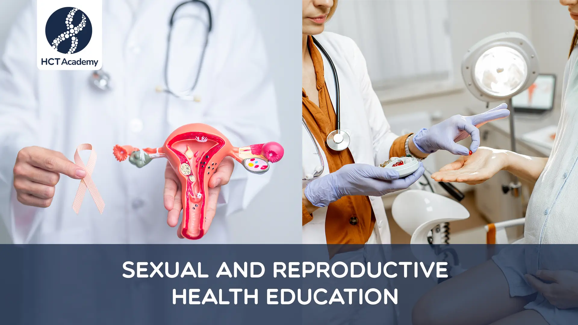 Sexual Reproduction Course Sexual and Reproductive Health Education - HCT Academy
